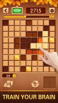 Woody Tetris - Blocks Puzzle Screen Shot 2