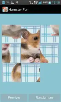 Hamster Games Screen Shot 2