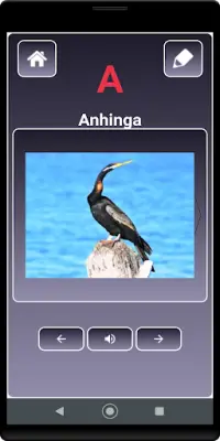 A to Z Birds Name Screen Shot 0