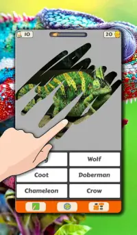 Quiz sugli animali Grattalo. Gioco a quiz Screen Shot 6