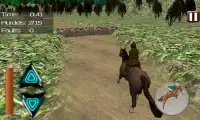 Horse Jumping Master Screen Shot 8