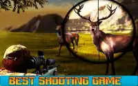 Frontier Deer Animal 2018 :Jungle Hunter Sniper Screen Shot 0