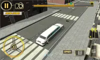 Limousin Parking Simulator 3D Screen Shot 2