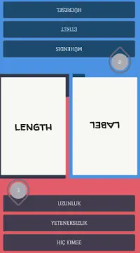 2 Player Language Card Game Screen Shot 1