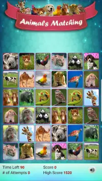 Matching Madness - Animals Screen Shot 1