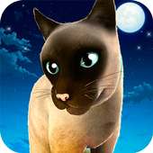 Meow! Cute Kitty Cat 🐈 Puppy Love Pet Simulator