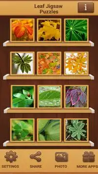 Leaf Jigsaw Puzzles Screen Shot 4