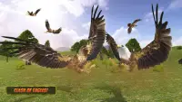 Eagle Simulators 3D Bird Game Screen Shot 9