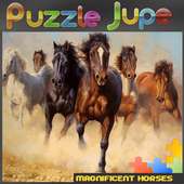 Magnificent horses Puzzle