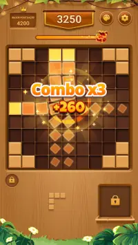 Wood Block Puzzle-SudokuJigsaw Screen Shot 3