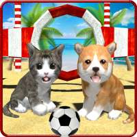 Cat Dog Pets Beach Stunts Sim