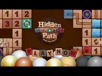 Roll the Ball: Hidden Path Screen Shot 0
