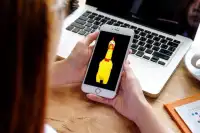 Rubber Chicken Screen Shot 1