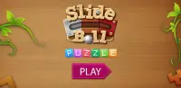 Unblock Ball, Block Puzzle - Slide Ball Puzzle Screen Shot 5