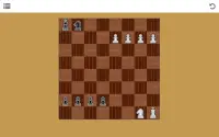 [Chess Variant] for beginners Screen Shot 3