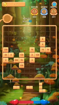 Block Puzzle Wonderland Screen Shot 12