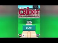 Mighty Cricket Screen Shot 0