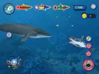 Ocean Shark Simulator – Animal Attack Simulator Screen Shot 6