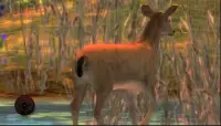 2020 Deer Berburu Klasik Afrika 3d Sport Shooter Screen Shot 20