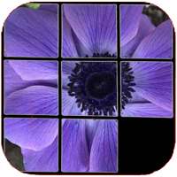 Flowers puzzle, discover which one is hidden.