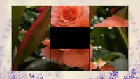 Flowers puzzle, discover which one is hidden. Screen Shot 0