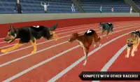 Fast Dog Racing 3D Screen Shot 1