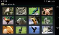 Animal Sounds (4 line display) Screen Shot 0