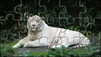 Biały Tygrys Puzzle Gry Screen Shot 6