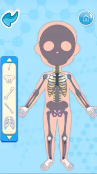 جسم الانسان للأولاد - نشاطات ميرال التعليمية Screen Shot 2