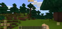 Minicraft: Block World Screen Shot 1