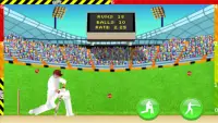 Cricket - Defend the Wicket Screen Shot 2