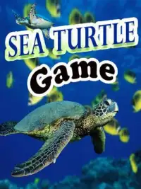 Sea Turtle Game Screen Shot 0