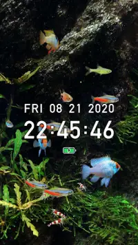 Tropical Fish Tank - Mini Aqua Screen Shot 1