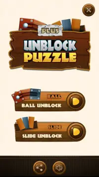 Unblock Ball Puzzle Screen Shot 0