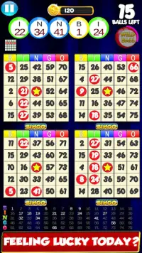 Bingo: New Free Cards Game Vegas and Casino Feel Screen Shot 0
