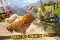 Sheep Racing Adventure Game 3D Screen Shot 2