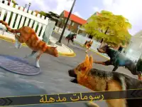 🐾 لعبة القط سباق للأطفال 🐾 Screen Shot 6