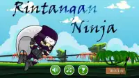 Ninja Hindernisse Screen Shot 0