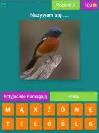 Quiz ptaków Screen Shot 12