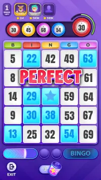 Bingo Game - Live Bingo Screen Shot 3