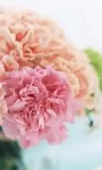 Nosegay Flowers Jigsaw Puzzle Screen Shot 1