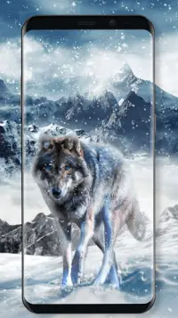 सुंदर सफेद भेड़िया लाइव वॉलपेपर Screen Shot 0