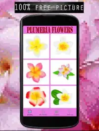 Plumeria Flowers Color By Number-Pixel Art Screen Shot 1