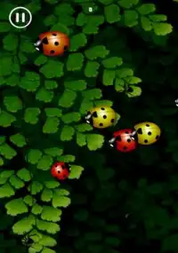 Crawl of the Ladybug Screen Shot 2