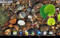 Koi Fish Live Wallpaper 3D Screen Shot 2