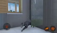 Simulator Anjing Besar Dane Screen Shot 8