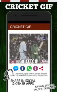 The best GIF of Cricket Screen Shot 0
