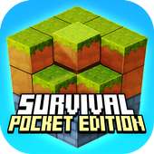 Survival 3D Pocket Edition