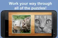 Cat and Kitten Jigsaw Puzzles Screen Shot 2