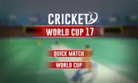 Cricket Cup Screen Shot 0